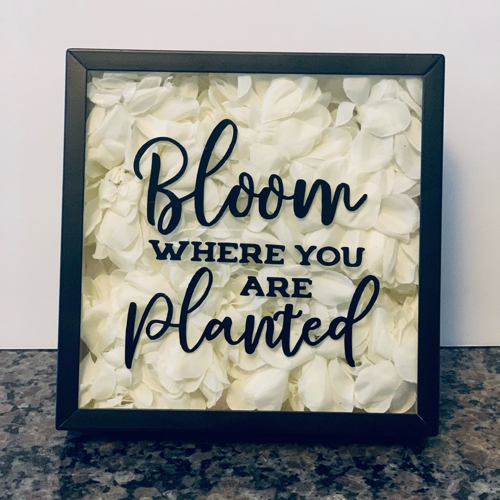 Shadowbox frame decor